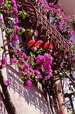 23-Taormina,12 aprile 1998